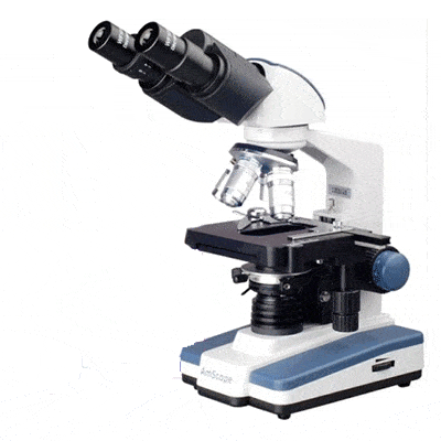 microscopio-binocular-compuesto-led-digital-40x-2000x-camara-usb-amscope