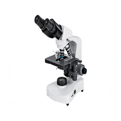 microscopio-binocular